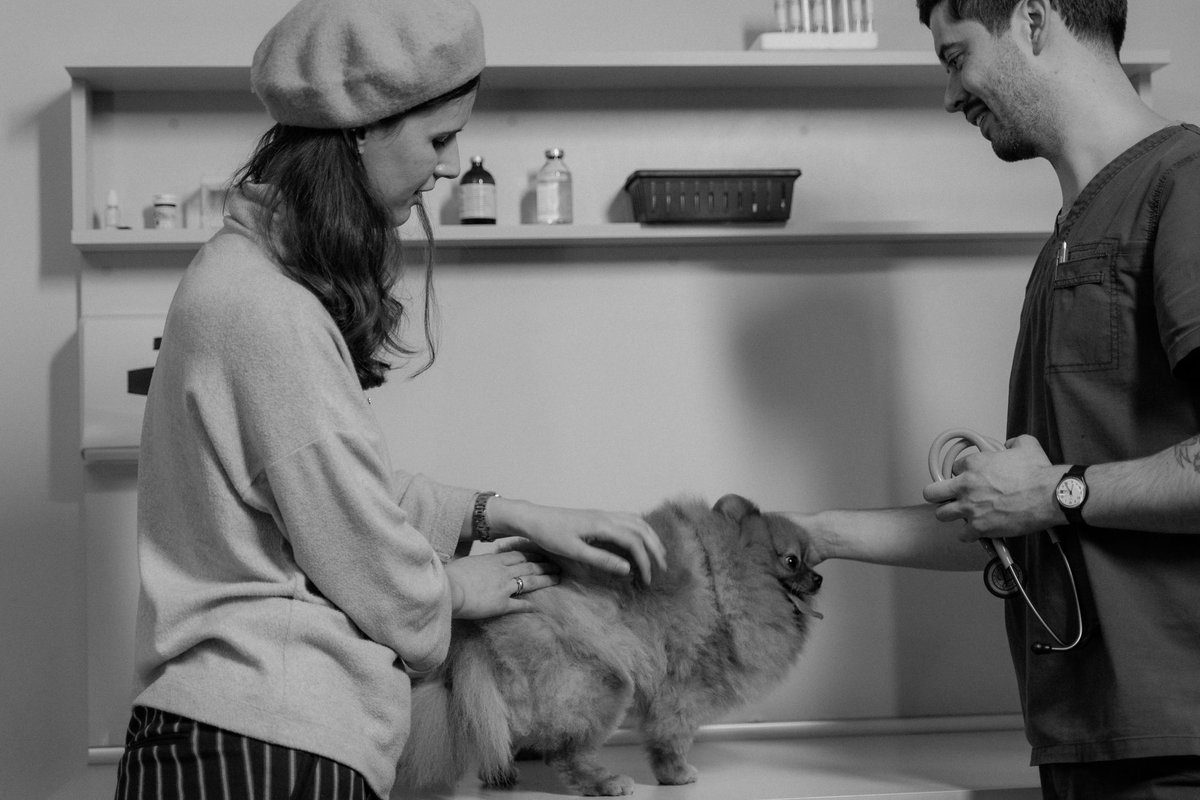 combien gagne un veterinaire